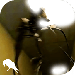 《烟雨江湖》洛阳醉汉使命攻略 详解木十二使命流程